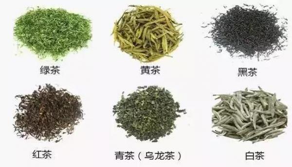 乌龙茶属于红茶还是绿茶乌龙茶到底是什么茶