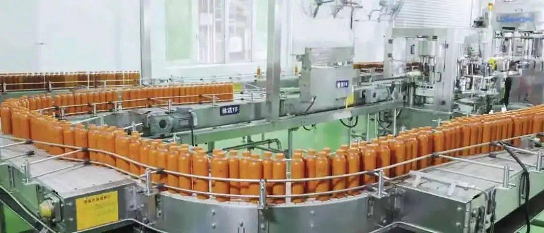 大红袍是什么茶_茶大红袍是红茶吗_茶叶大红袍功效与作用