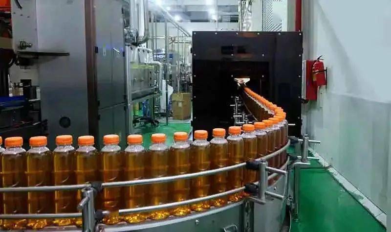大红袍是什么茶_茶叶大红袍功效与作用_茶大红袍是红茶吗