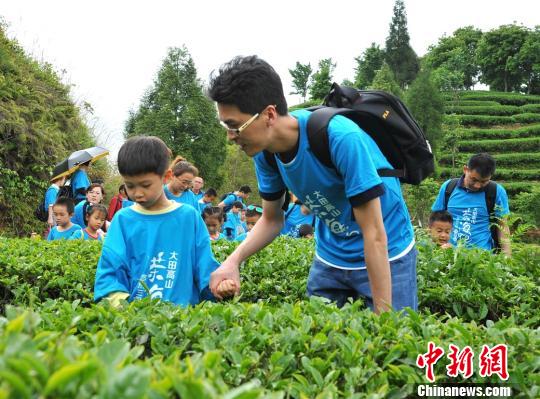 将茶园开辟为家庭观光场所，成为茶产业的延伸。　范可杰 摄
