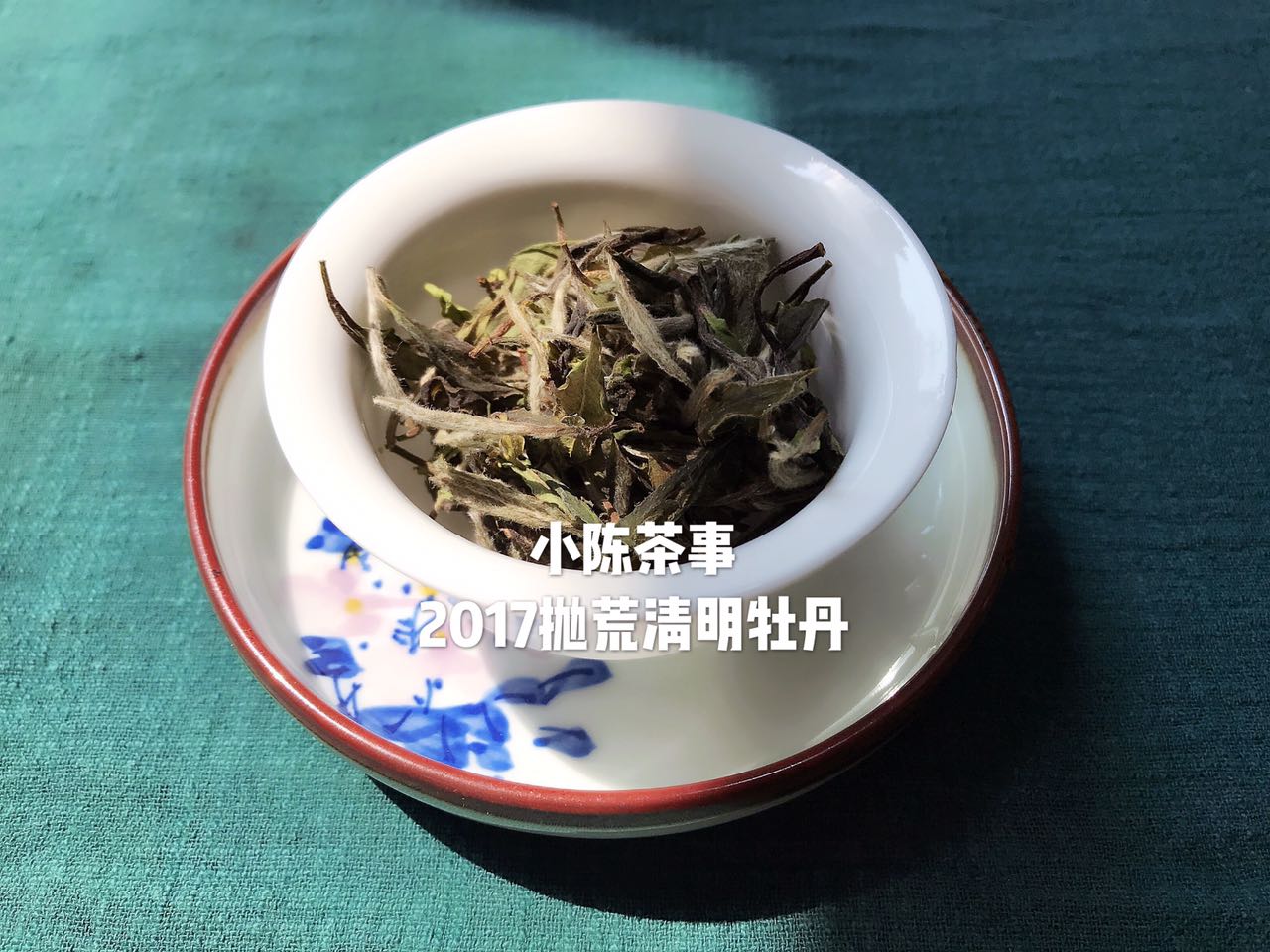 5个1分钟轻松了解中国茶的不同，绿茶、红茶、普洱茶、白茶都有！