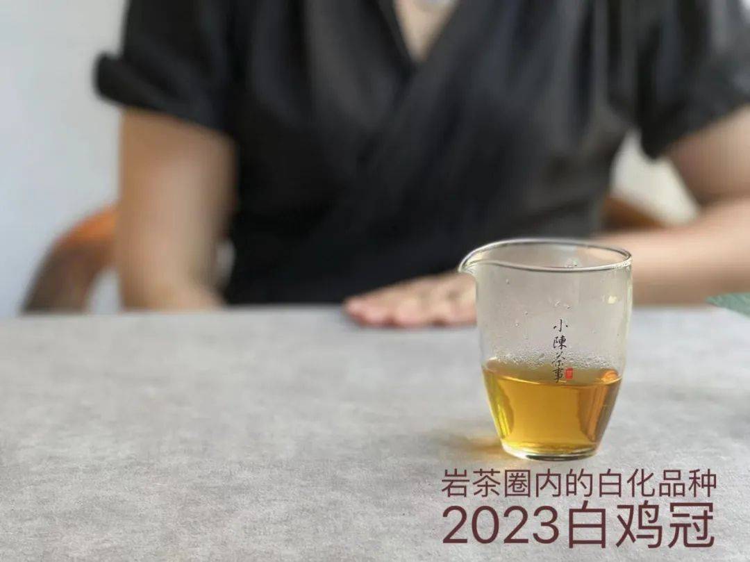 茶大红袍的优劣_大红袍是什么茶_茶大红袍是什么茶