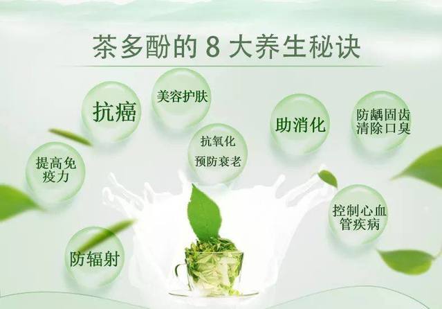 茶叶中含有的茶氨酸茶叶特征性成分中的四大巨头了解这些学茶很简单