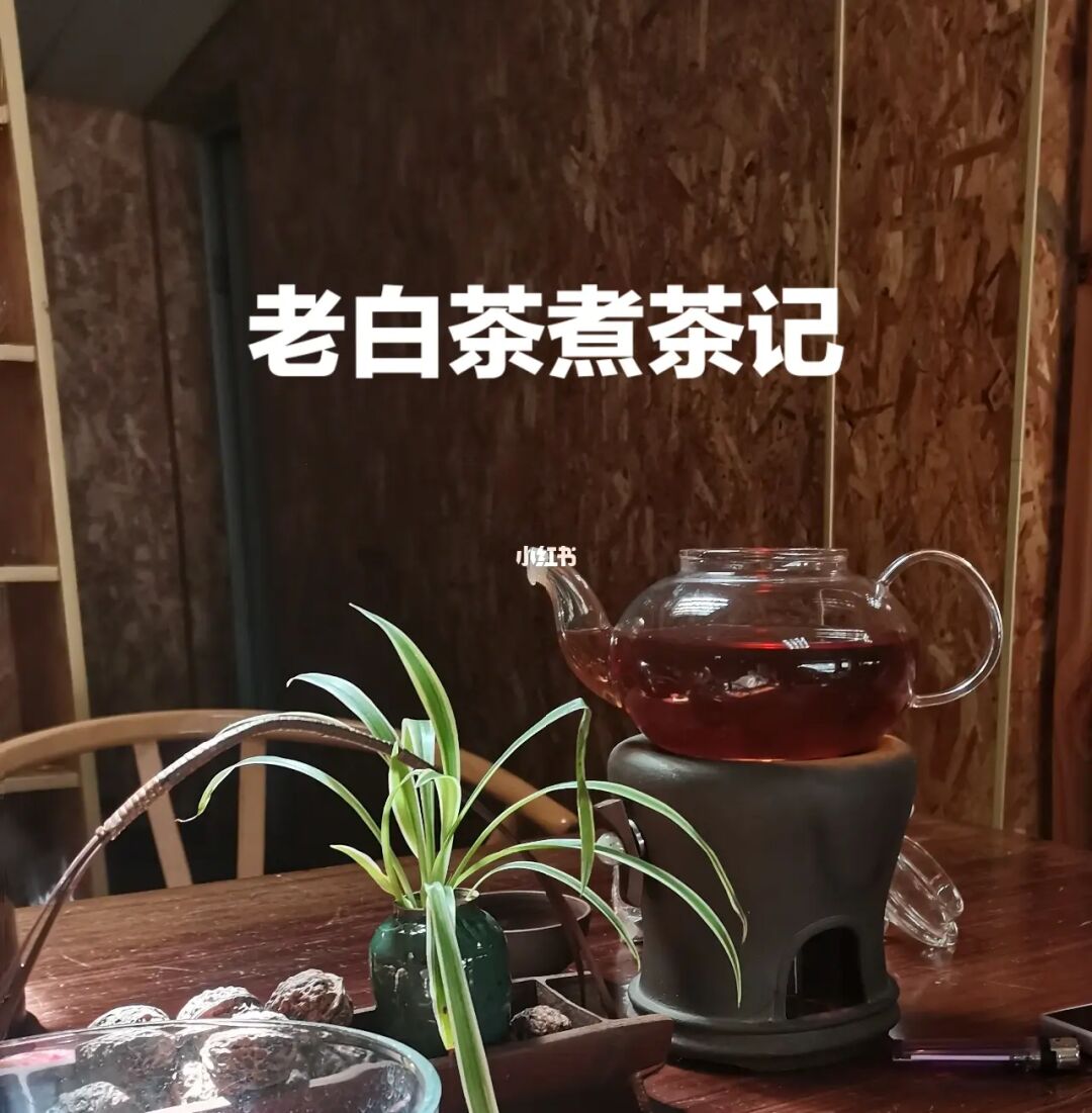 望海茶是白茶还是绿茶_云南扫把茶是生普洱吗_普洱白茶是什么茶
