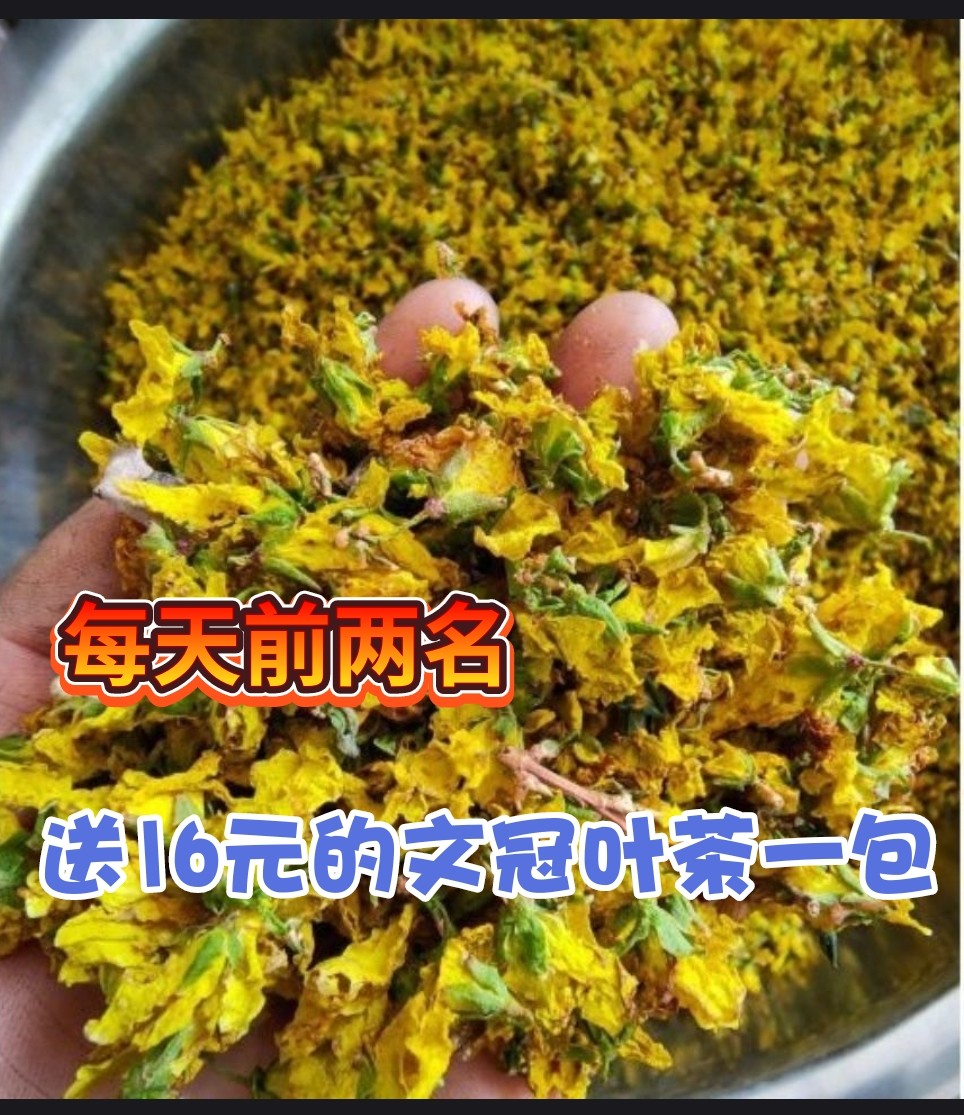 雀舌茶的功效与禁忌_巴山雀舌茶叶的功效_雪菊茶的功效与作用及禁忌