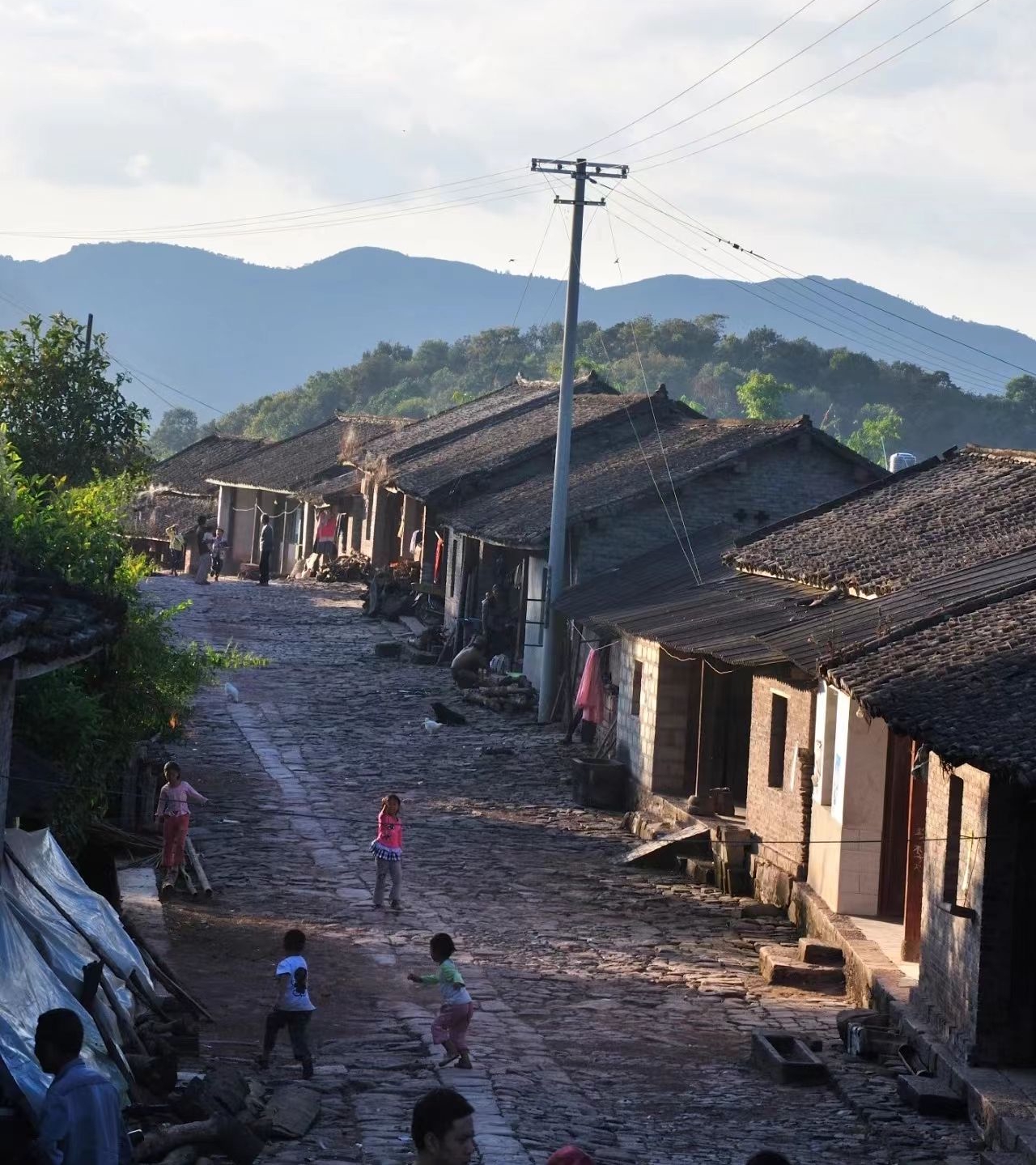 倚邦普洱茶怎么分辨是好茶和坏茶_倚邦茶马司_凤牌普洱饼茶哪款好
