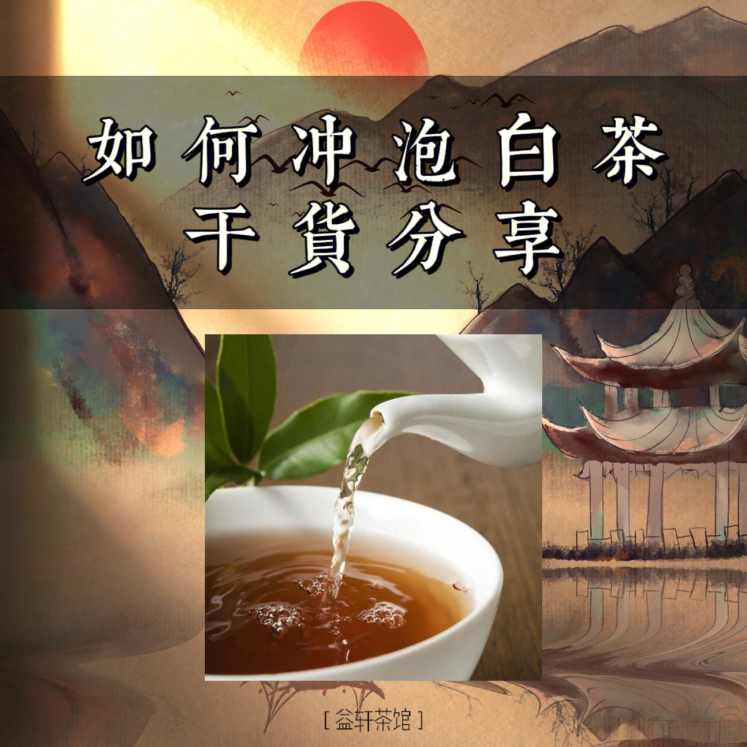 冲泡白茶的步骤和时间_资溪白茶茶冲泡方法及流程_白茶冲泡的全部器具