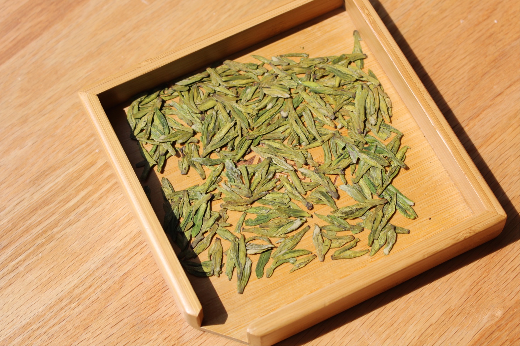 雀舌茶的产地_雀舌盆景图片产地_雀舌茶叶哪个产地**