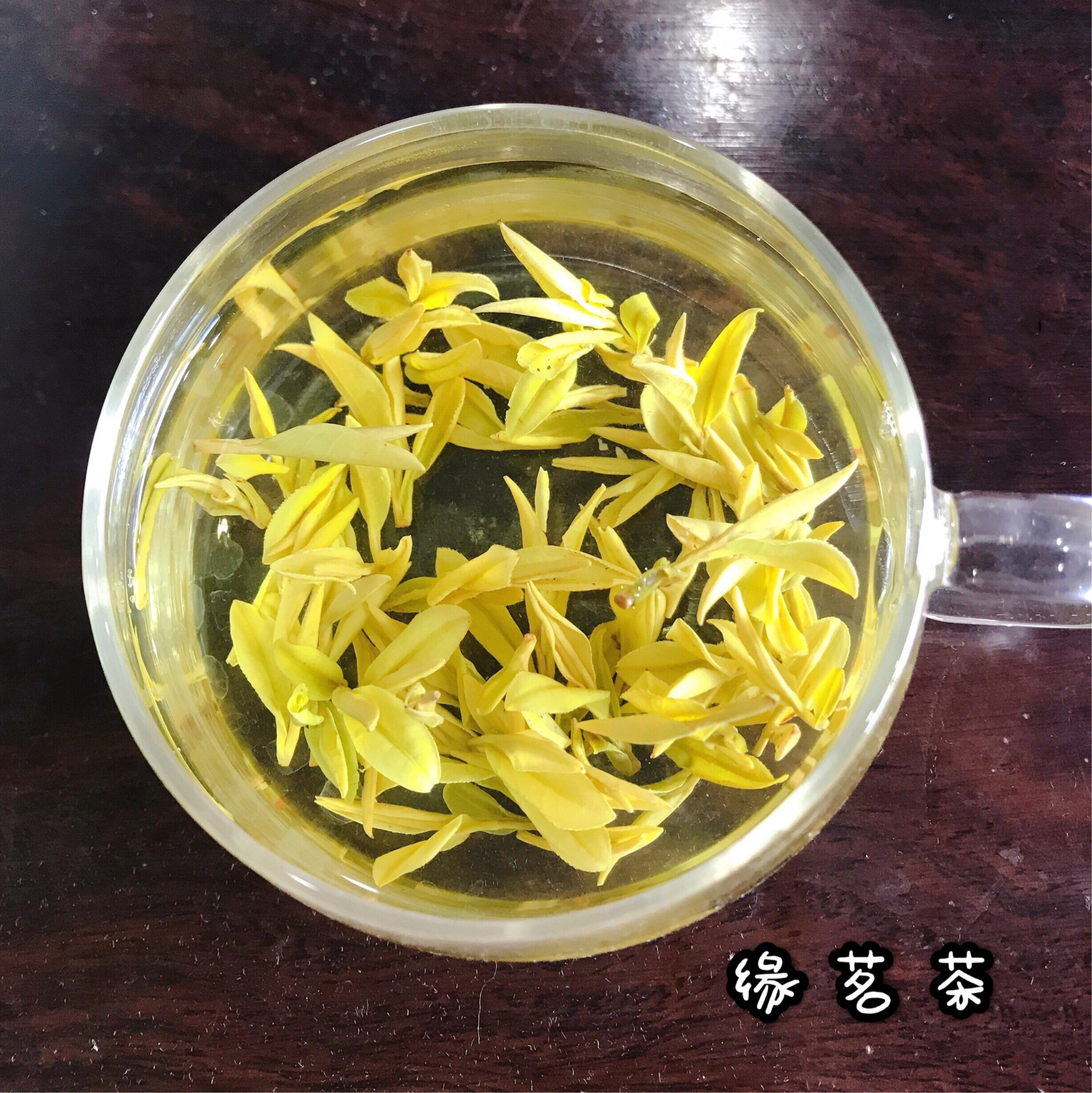 黃金芽茶葉口感與功效_黃金芽茶葉圖片欣賞_黃金芽茶葉多少錢一斤