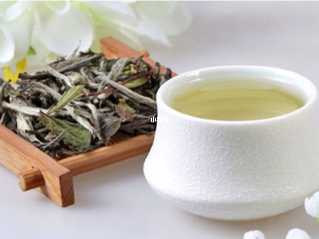 降火清毒茶_降火茶有哪些白茶_消炎降火茶