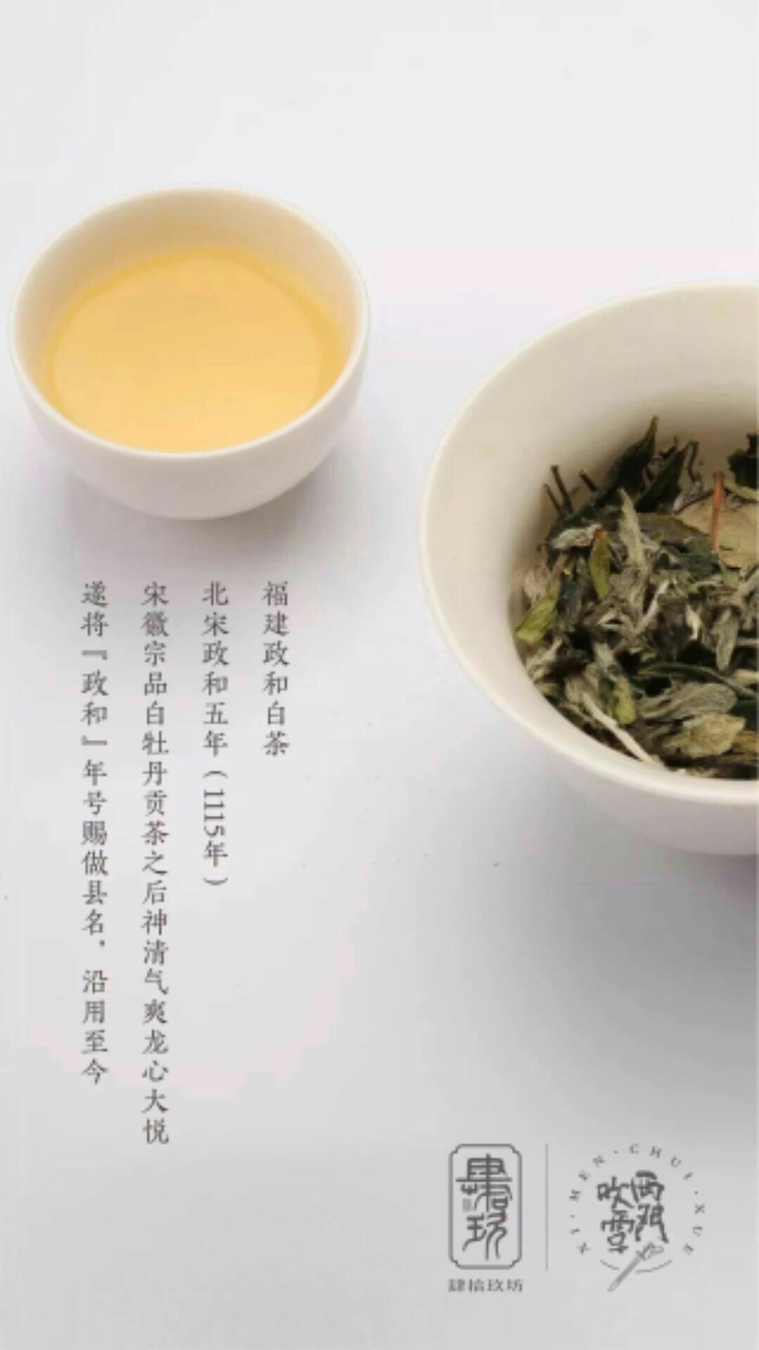 白茶是什麼茶白茶屬於哪個茶白茶有什麼作用功效