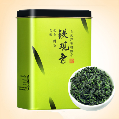 铁观音种植,采摘的特点,探访团南京嘉兴青山远黛,漫山茶香中,弹唱南音